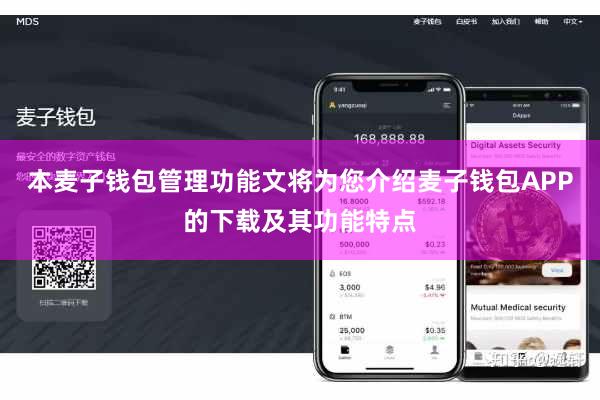 本麦子钱包管理功能文将为您介绍麦子钱包APP的下载及其功能特点