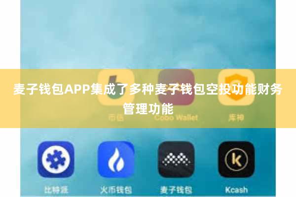 麦子钱包APP集成了多种麦子钱包空投功能财务管理功能