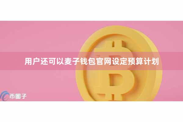 用户还可以麦子钱包官网设定预算计划
