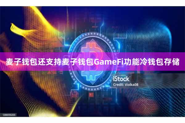 麦子钱包还支持麦子钱包GameFi功能冷钱包存储