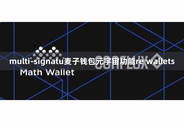 multi-signatu麦子钱包元宇宙功能re wallets