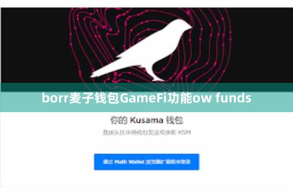 borr麦子钱包GameFi功能ow funds