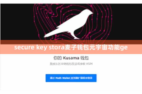 secure key stora麦子钱包元宇宙功能ge