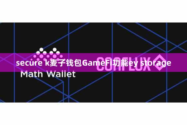 secure k麦子钱包GameFi功能ey storage