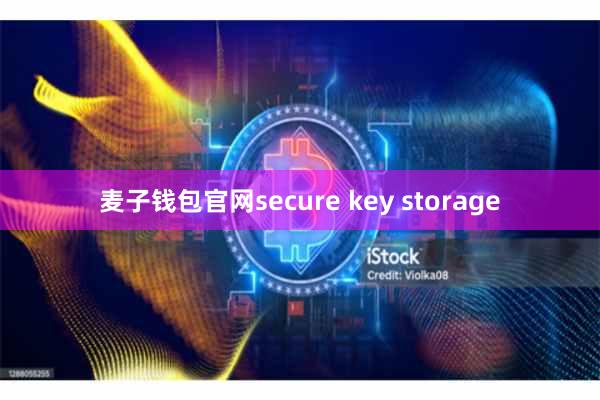 麦子钱包官网secure key storage