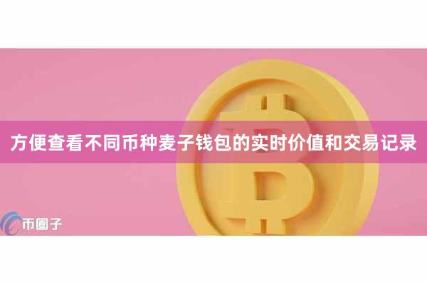 方便查看不同币种麦子钱包的实时价值和交易记录