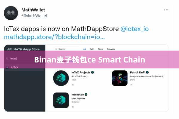 Binan麦子钱包ce Smart Chain