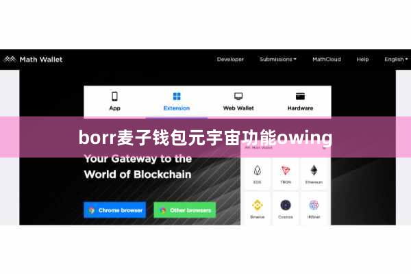 borr麦子钱包元宇宙功能owing