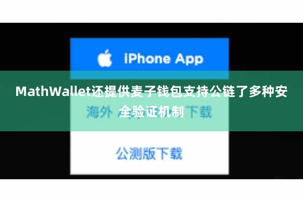 MathWallet还提供麦子钱包支持公链了多种安全验证机制