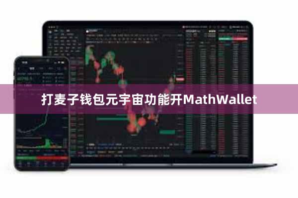 打麦子钱包元宇宙功能开MathWallet