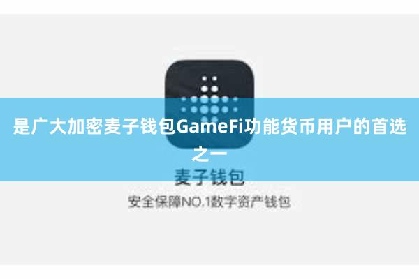 是广大加密麦子钱包GameFi功能货币用户的首选之一
