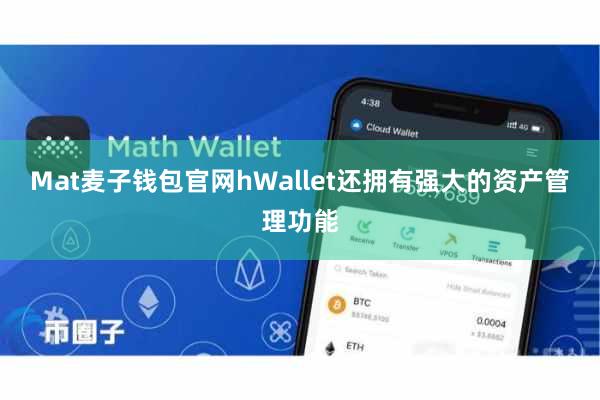 Mat麦子钱包官网hWallet还拥有强大的资产管理功能