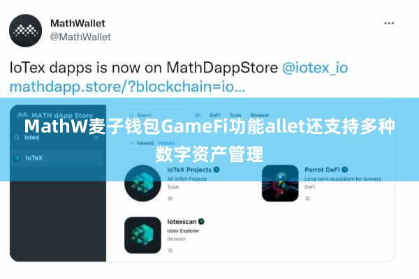 MathW麦子钱包GameFi功能allet还支持多种数字资产管理