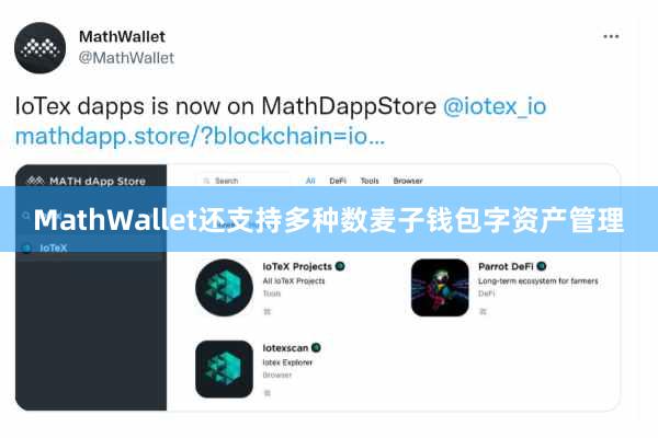 MathWallet还支持多种数麦子钱包字资产管理